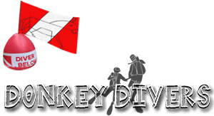 Donkey Divers
