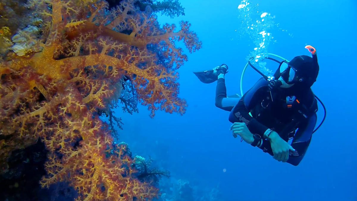PADI Video Still