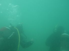 IMGP3476