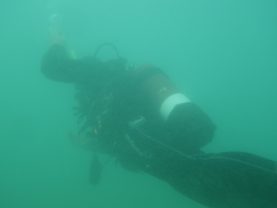 IMGP3478