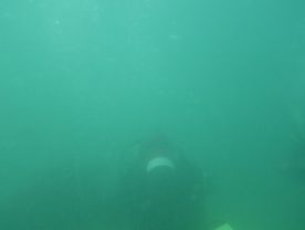 IMGP3480