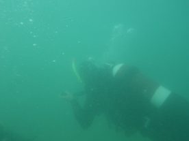 IMGP3481