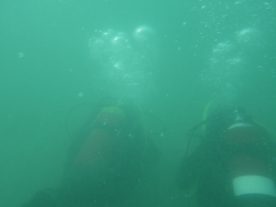 IMGP3482
