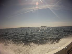PICT0003
