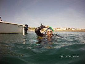 PICT0008