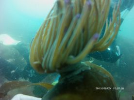 PICT0016