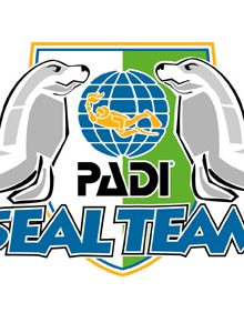 Seal Team Logo