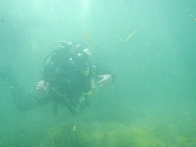 DSCN0774
