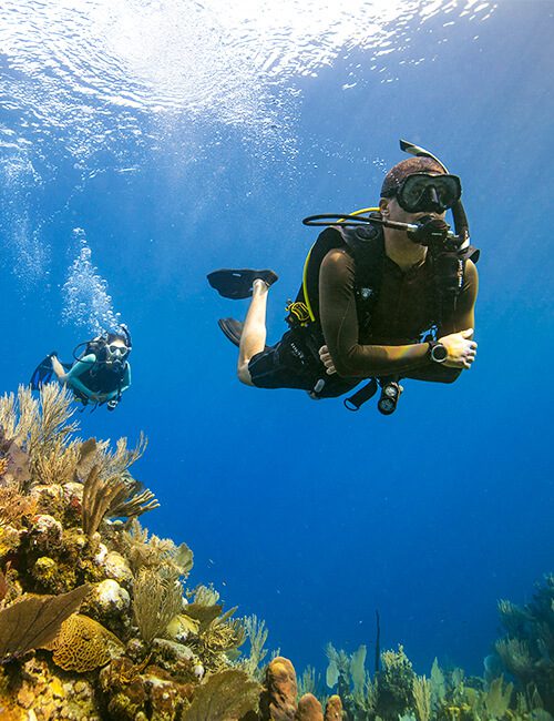 PADI Divemaster