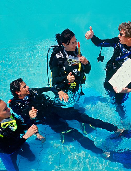 PADI - Donkey Divers Club
