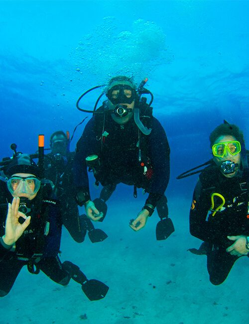 PADI Reactivate Course