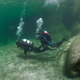 Padi Cold water